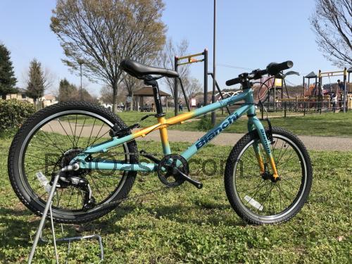Bianchi PIRATA 20 opinión y ficha técnica